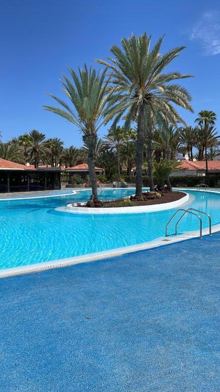 Sun Club Luxus Bungalow Projecto 65 Maspalomas  Ngoại thất bức ảnh